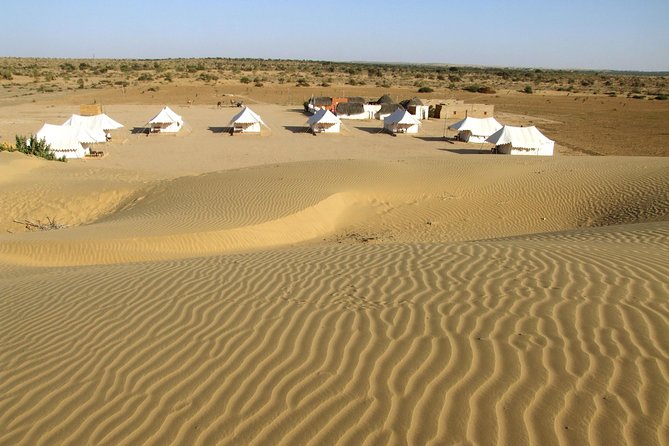 A Night in Thar Desert – Unforgettable Luxury Camel Safari - Key things I’d circle before you go