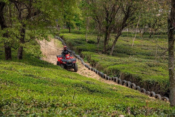 Adventure Activity ATV RIDE 2.25 Kms RZR 570 - The scenery factor: tea gardens, Dhauladhars, and the motion of views