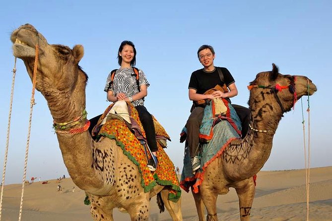 Adventure non touristic camel safari - Key things to know before you go
