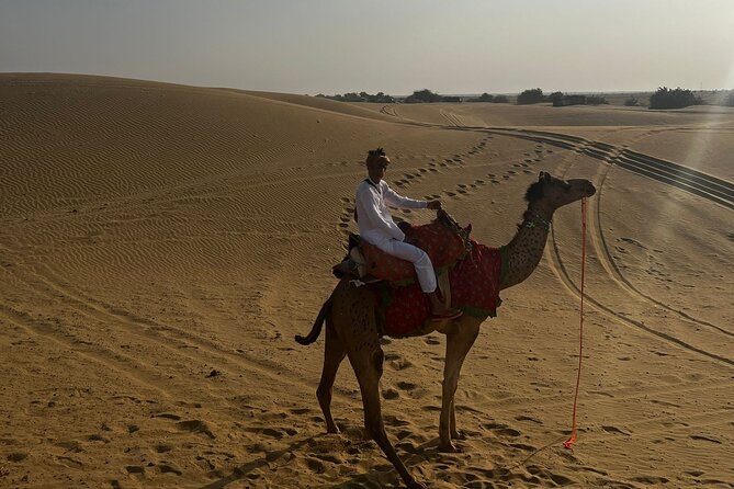 Adventure non touristic camel safari - Day two sunrise and breakfast (about 3 hours): start slow, then ride back