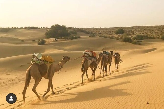 Adventure non touristic camel safari - Price and value: why this often feels like a bargain