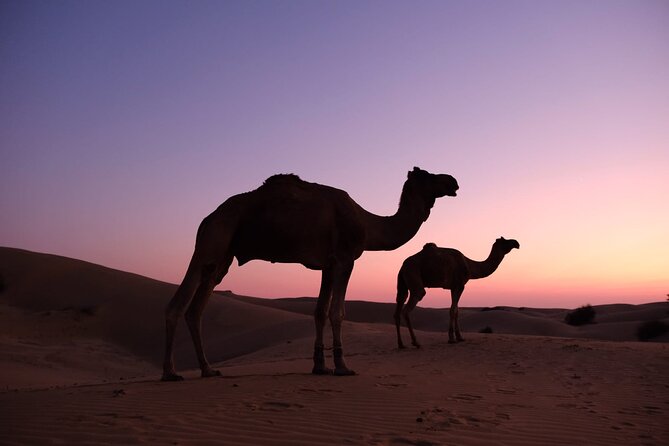 Adventure non touristic camel safari - Kuldhara (30 minutes): the quiet story stop before the desert