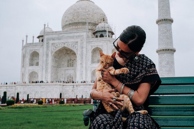 Agra Half-Day Tour of Taj Mahal and Agra Fort by Car - Taj Mahal visit: how guides keep it informative without stealing your time