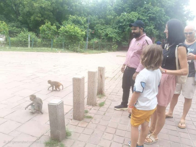 Agra: Monkey Safari Guided Walking Tour - Monkey Observation Time: Langurs and Rhesus Macaques Up Close