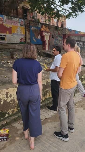Agra: Monkey Safari Guided Walking Tour - Photography Moments That Don’t Risk Safety