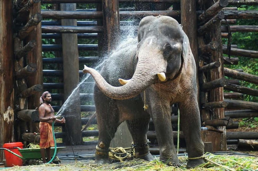 Agra: Taj Mahal Sunrise Tour with Elephant Sanctuary - Breakfast in Agra: Fueling the Fort Visit Without Losing Momentum