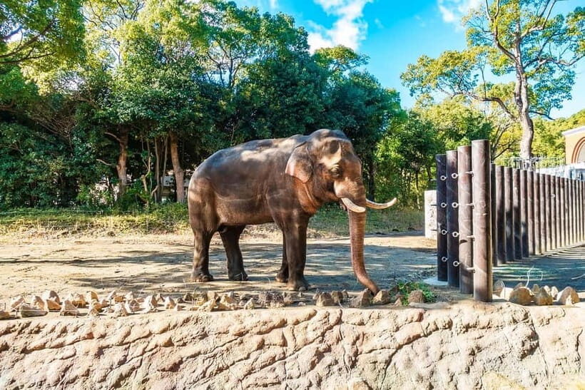 Agra: Taj Mahal Sunrise Tour with Elephant Sanctuary - Agra Fort and Akbar’s Fortress: What to Look For