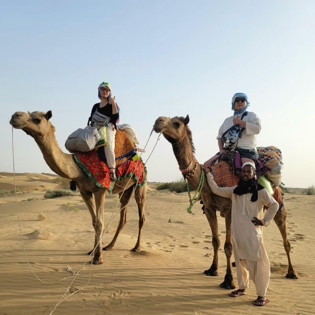 All-Day Desert Safari with Cultural Program - Group size, languages, and who’s running your day