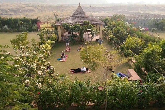 Aravali Exotic Hiking, Yoga with Breakfast - Price and value: what $76.98 buys you at dawn