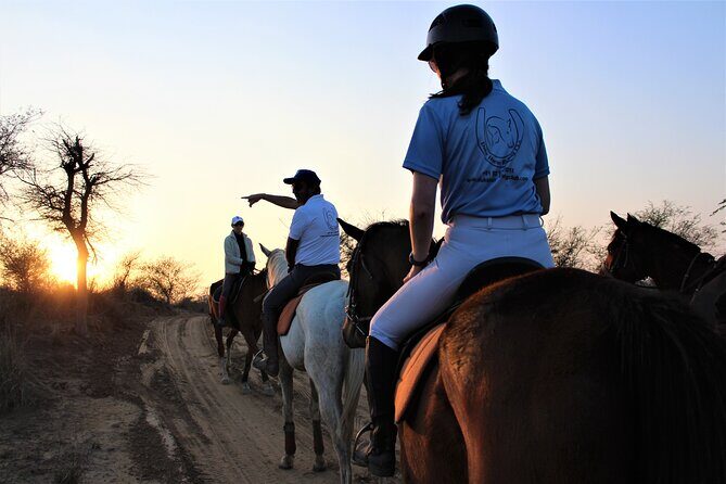 Aravali Trail Experience( Jungle Safari Forest area)- Horseback Riding - Key things worth knowing before you go