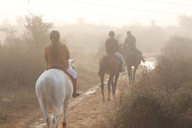 Aravali Trail Experience( Jungle Safari Forest area)- Horseback Riding - Entering the Aravalli at 6:00 am with a private ride