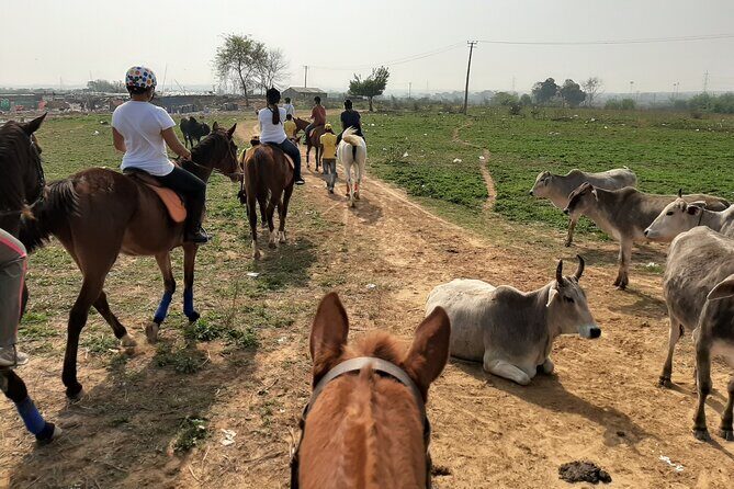 Aravali Trail Experience( Jungle Safari Forest area)- Horseback Riding - The “jungle safari forest” feel: what the ride is like