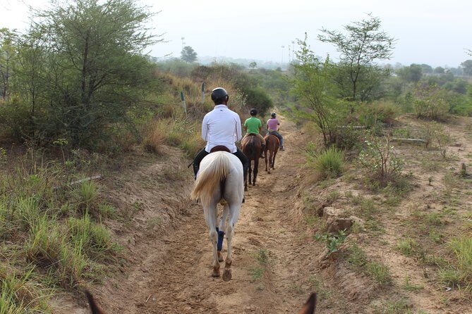 Aravali Trail Experience( Jungle Safari Forest area)- Horseback Riding - What to bring and how to prep (so your ride feels smooth)