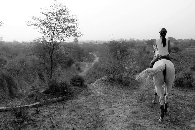 Aravali Trail Experience( Jungle Safari Forest area)- Horseback Riding - Duke Horse Riding Club: how the lesson is set up