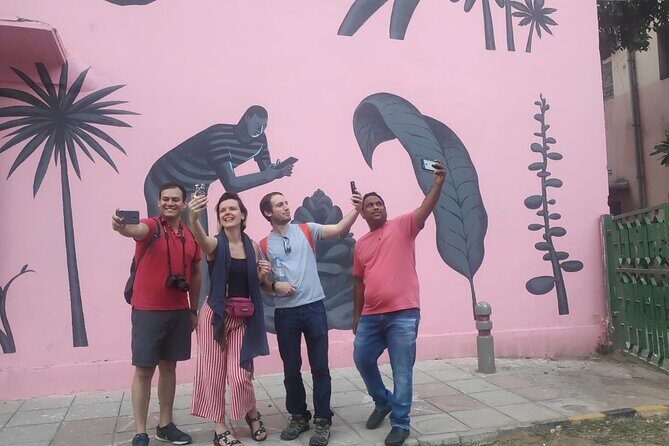 Art Attack: Explore Delhi's Artistic and Cultural Side - What you’ll learn: street art meaning plus practical India navigation