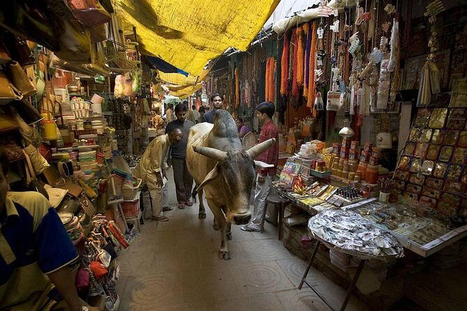 Assi to Manikarnika Walking Tour: Varanasi Ghats & Lanes - Dasaswamedh Ghat and Mir Ghat: where the Ganga Aarti energy takes over