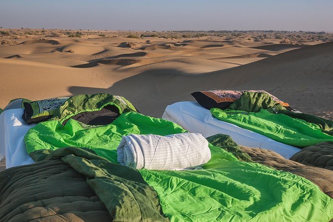 Become a Desert Nomad – Overnight Camel Safari in the Wild - Key highlights to pay attention to