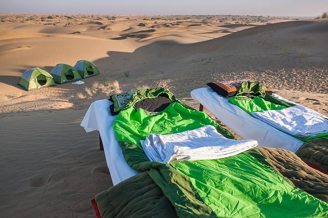 Become a Desert Nomad – Overnight Camel Safari in the Wild - Dinner by open flame and a chance to learn Indian cooking