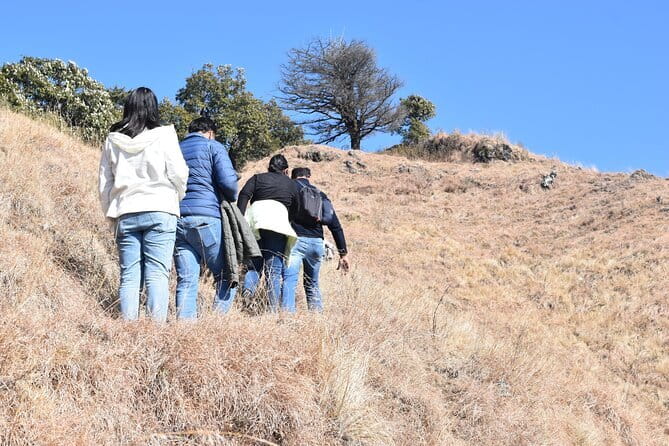 Benog Trek into the Wild - Key highlights at a glance