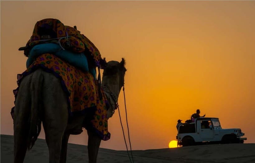 Blissful Half Day Sunset Camel Safari with Musical Evening - Timing and flow: what the 6 hours feels like in real life