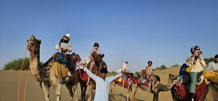 Blissful Half Day Sunset Camel Safari with Musical Evening - The pure veg buffet dinner: what you’re really paying for