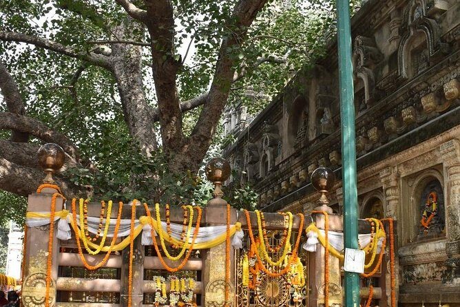 Bodhgaya Day Tour (Hotel Pickup) - Tickets, water, and the guide question: practical stuff that saves headaches