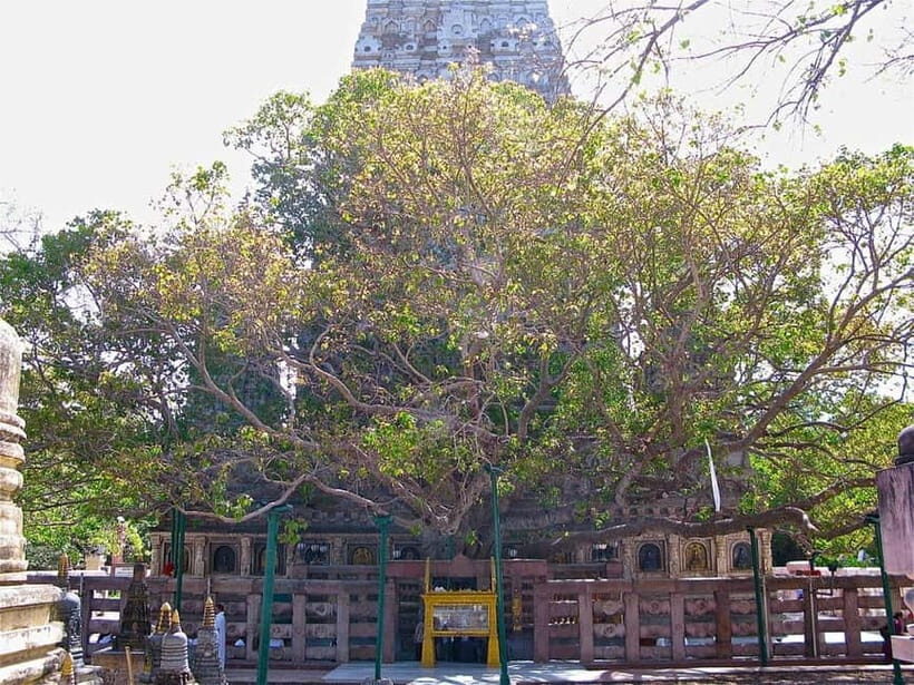 BODHGAYA FULL DAY TOUR - Bodh Gaya in One Day: what $59 buys you