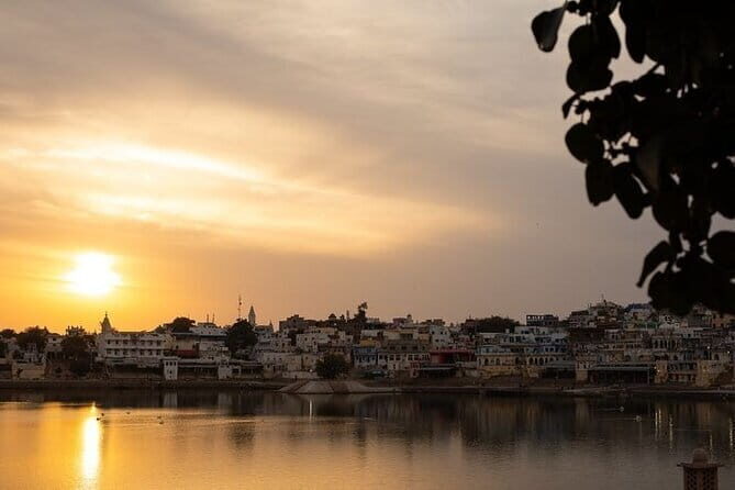 Camel Desert Safari with Sunset -The Pushkar Route - Optional quad biking: when it makes sense