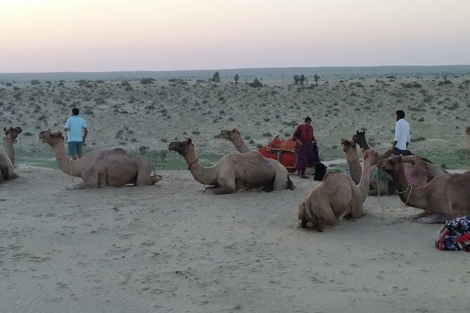 Camel Safari - Key highlights worth circling