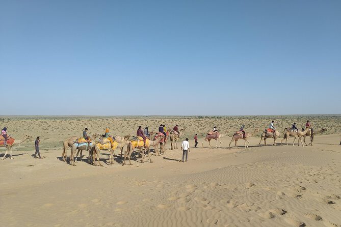 Camel Safari - Camel ride: dunes, ponds, villages, and animal sightings