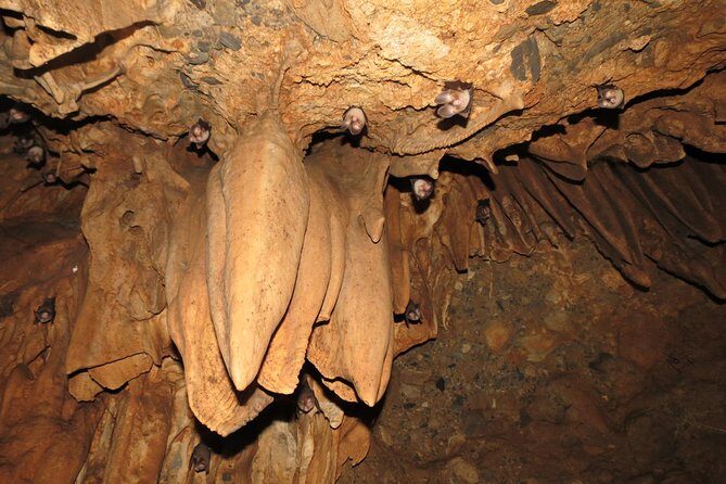 Caving Tour in Rishikesh - 6 Hrs. - Kailash Cave: your first underground stretch