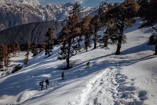 Chopta Trek - What This Chopta Trek Really Gives You