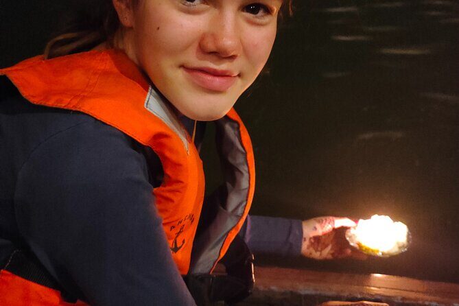 Complete tour of varanasi with official guide - Price and Logistics: why $85 can be fair value