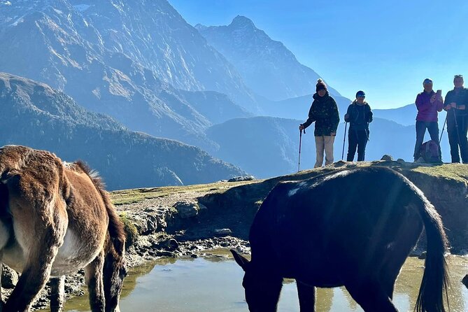 Dalai Lama Himalayan Trek - Naddi View Point day: villages, gentle undulations, and good food in tents