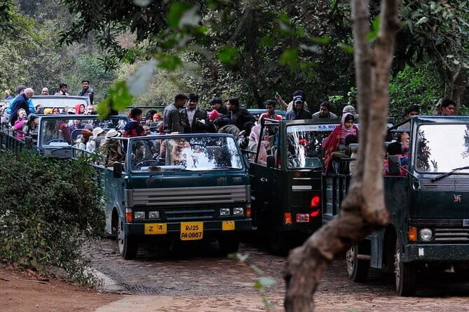 Day Trip from Jaipur to Ranthambore Safari - From Parking to Safari: Your Time Inside Ranthambore
