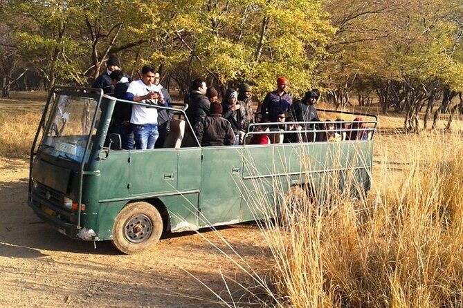Day Trip to Ranthambore Tiger Reserve from Jaipur - The UNESCO-listed Ranthambore Fort stop: a meaningful break from wildlife searching