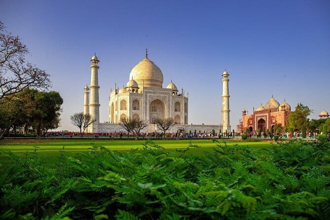 Day Trip to Taj Mahal, Agra Fort and Baby Taj from Delhi by Car - Price and value: what you’re really paying for