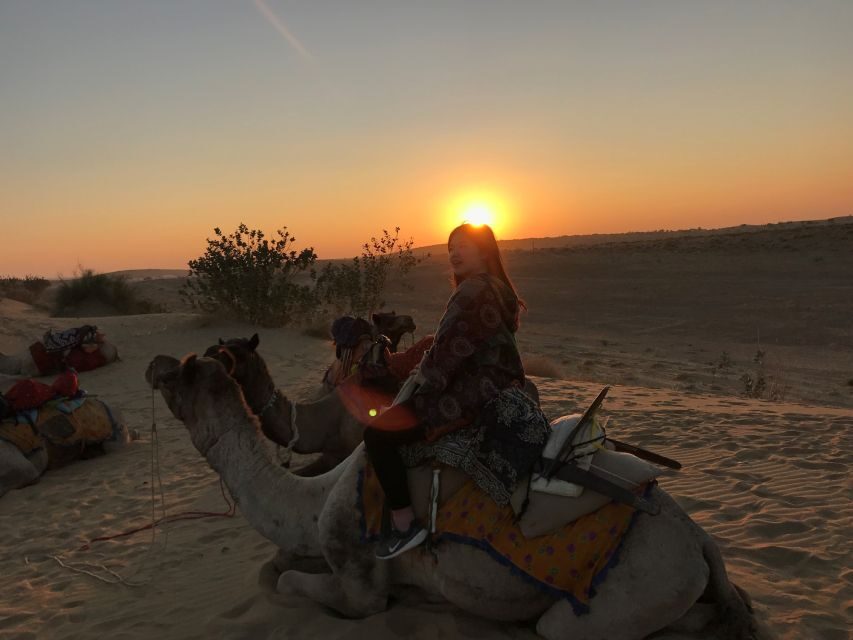 Dazzling Half Day Camel & Desert Safari With Sunset & Dinner - Key Highlights Worth Planning For