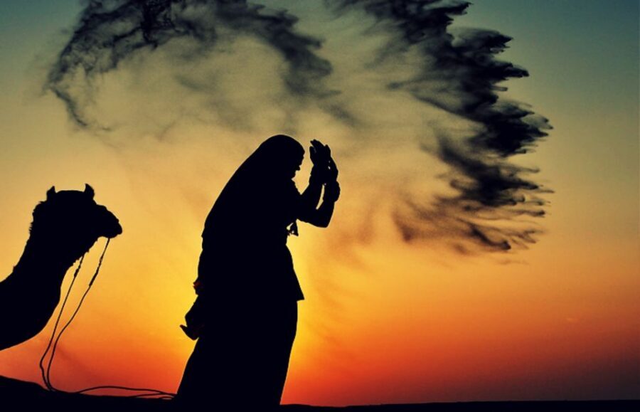Dazzling Half Day Camel & Desert Safari With Sunset & Dinner - Desert Camp Dinner: Wood-Fire Vegetarian Food and Bonfire Stars