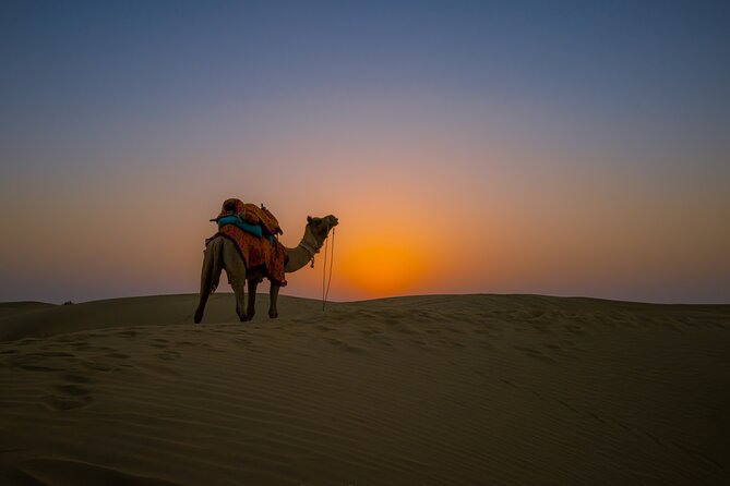 Dazzling Half Day Tour of Camel & Desert Safari with Sunset - Jeep Pickup, Private Feel, and the Easy Flow Back to Jaisalmer