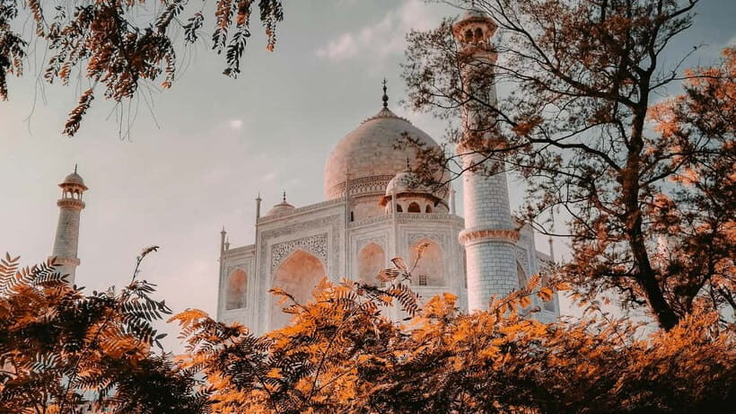 Delhi Airport to Taj Mahal Tour Instant Booking - Key highlights you’ll feel on the day