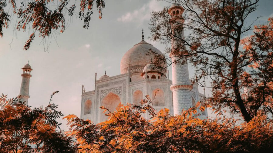 Delhi Airport to Taj Mahal Tour Instant Booking - Accessibility and who should think twice