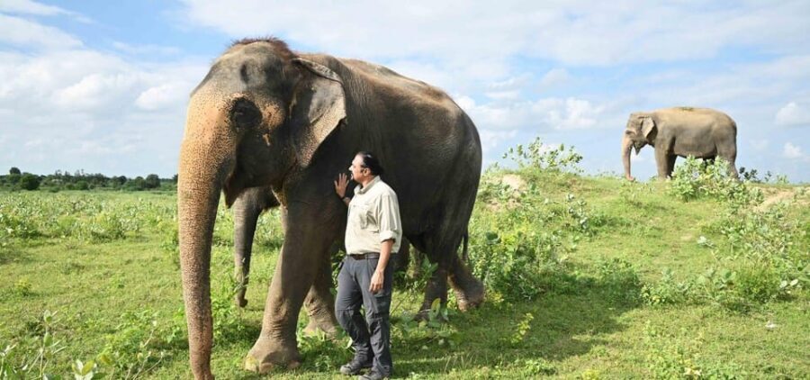 Delhi: All-Inclusive Day trip Taj Mahal with Elephant SOS - Should you book this Taj Mahal plus Elephant SOS day trip?