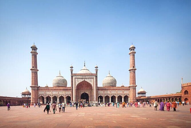 Delhi: City Sightseeing Private tour Half or Full-Day Option - Pickup and AC driving: why it matters in Delhi