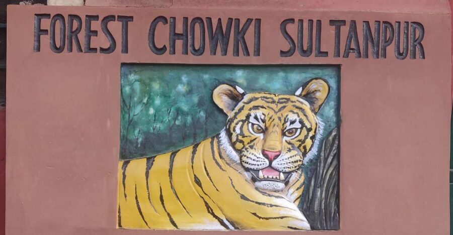 Delhi: Private 3-Days Jaipur & Ranthambore Tiger Safari Tour - Two Ranthambore safaris: how the day is structured for tiger odds