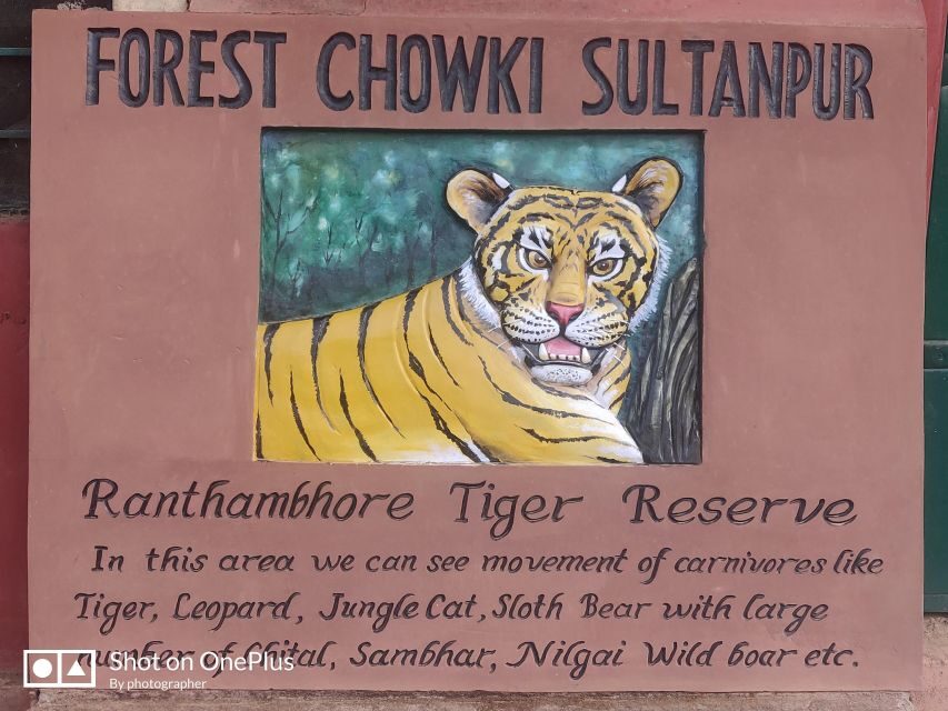 Delhi: Private 3-Days Jaipur & Ranthambore Tiger Safari Tour - The drive into Ranthambore: settling in before the real action