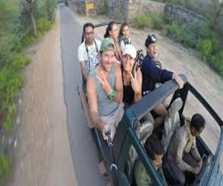 Delhi: Ranthambore National Park 3-Day Trip w/ Tiger Safari - Day 3: Breakfast, check-out, and back to Delhi