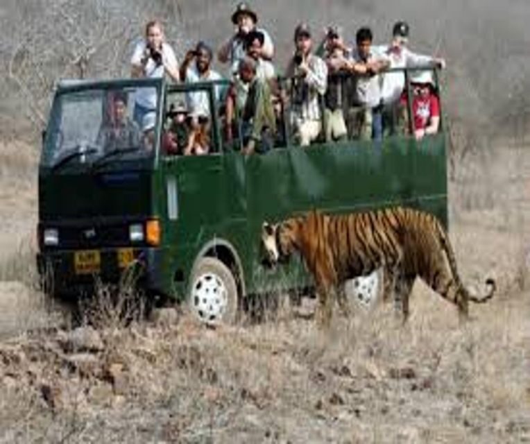 Delhi: Ranthambore National Park 3-Day Trip w/ Tiger Safari - The Mughal history add-on: Agra Fort and Taj Mahal context