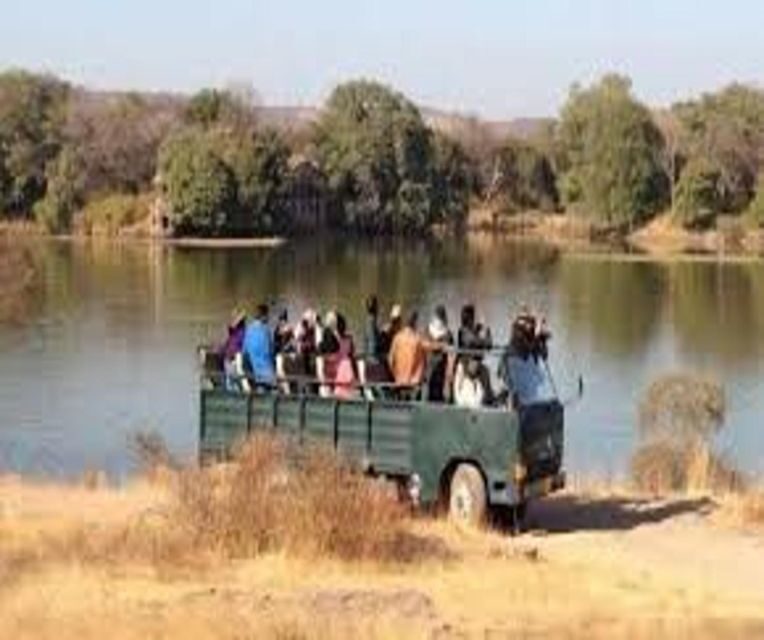 Delhi: Ranthambore National Park 3-Day Trip w/ Tiger Safari - Drivers and guides: the human side of a tiger safari schedule