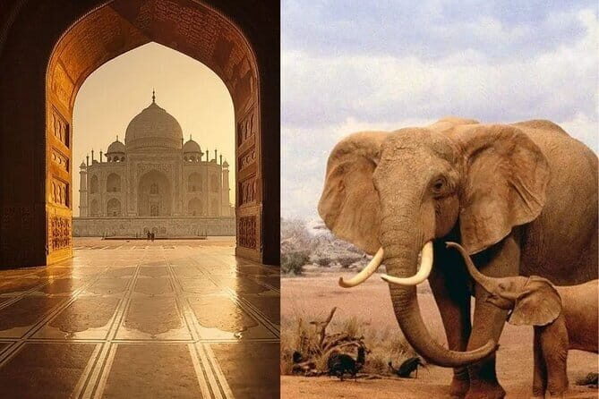 Delhi: Same Day Taj Mahal & Agra Fort Tour with Baby Taj & Lunch - Lunch at Courtyard Agra: a proper break, with one easy catch
